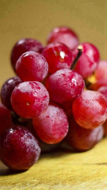 A close up of fresh red grapes covered with tiny droplets, HD Mobile Wallpaper