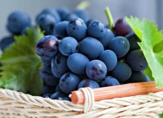 A close up of fresh black grapes with green leaves in a wicker basket, HD Desktop Wallpaper