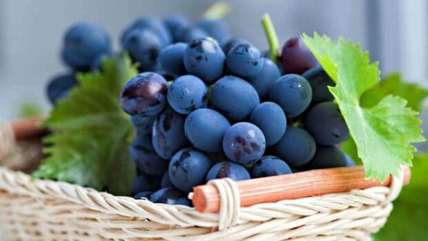 A close up of fresh black grapes with green leaves in a wicker basket, HD Desktop Wallpaper
