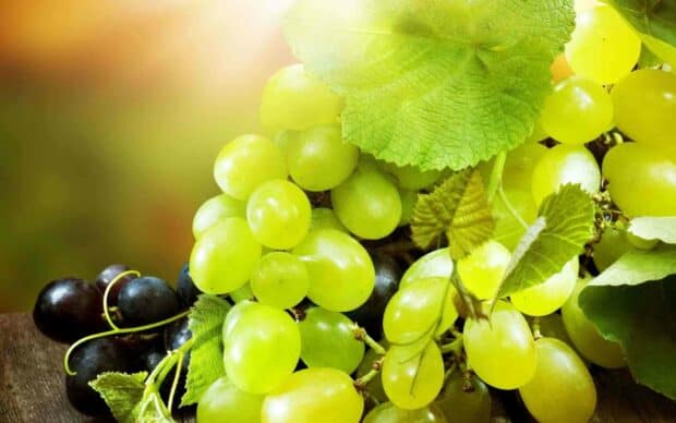 A close up of fresh green and black grapes with leaves on a wooden surface, HD Desktop Wallpaper