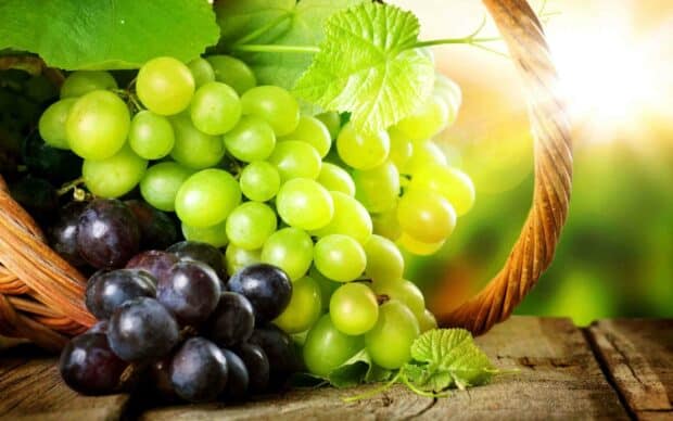 A close up of fresh green and black grapes spilling from a basket on a wooden surface under sunlight, 2K Desktop Wallpaper