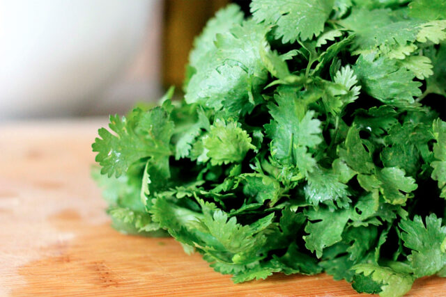Fresh green cilantro close up on wooden surface vibrant leaves for wallpapers