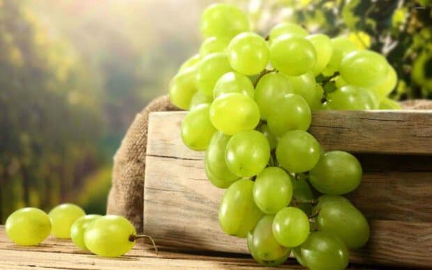 A bunch of fresh green grapes rests on a rustic wooden box with a blurred vineyard background, 2K Desktop Wallpaper