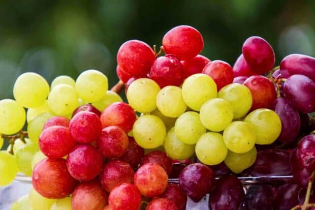Fresh red and green grapes cluster naturally in a bunch with vivid colors, HD Desktop Wallpaper