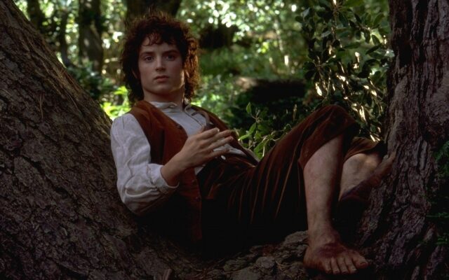Frodo Baggins Resting Against Tree Wallpaper For Desktop