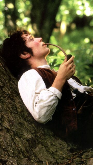 Frodo Basking In Nature's Serenity Wallpaper