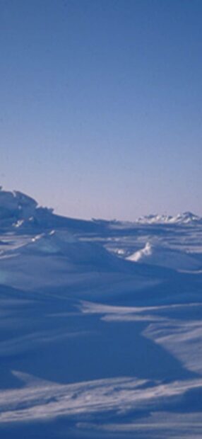 The Arctic presents vast frozen terrain with ice formations stretching to the horizon, HD Mobile Wallpaper