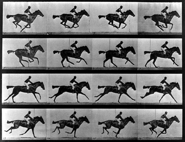 Galloping Horse Motion Study By Lumiere Brothers Wallpaper
