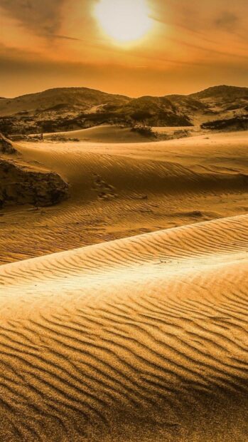 The golden sand dunes are illuminated by the warm sunset light in Algeria's desert landscape, HD Mobile Wallpaper