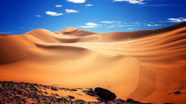 The Algeria Wallpapers feature vast golden sand dunes with a clear blue sky above, HD Desktop Wallpaper