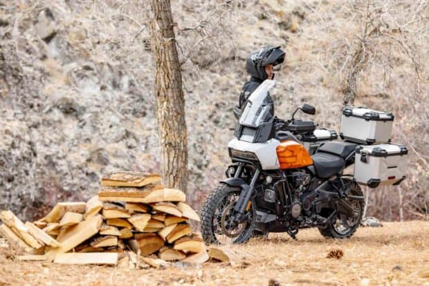 A rider stands beside a Harley Davidson Pan America 1250 with luggage boxes in a dry forest area, HD Desktop Wallpaper