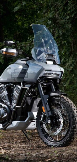A Harley Davidson Pan America 1250 is parked on a dirt path surrounded by greenery, HD Mobile Wallpaper