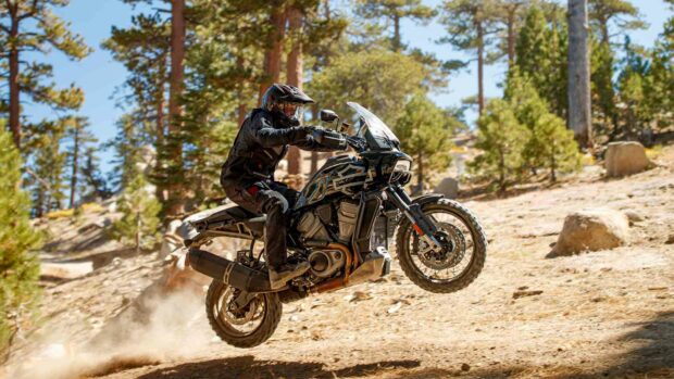A rider performs a jump on a Harley Davidson Pan America 1250 in a forest trail, HD Desktop Wallpaper