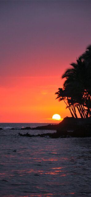 Hawaiian Sunset Beauty With Palm Silhouettes Wallpaper