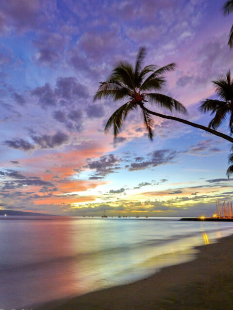 Hawaiian Sunset Serenity Over Palm Lined Beach