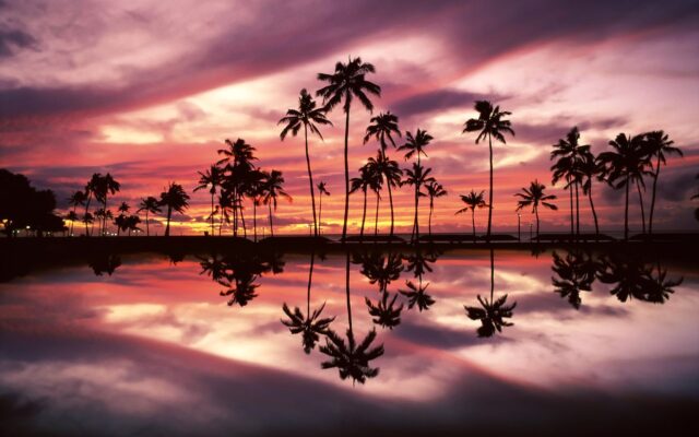 Hawaiian Sunset Serenity With Palm Reflections Wallpaper