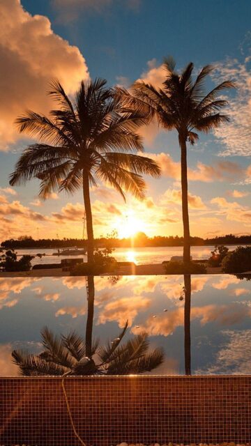 Hawaiian Sunset Serenity With Palm Trees Reflected In Water