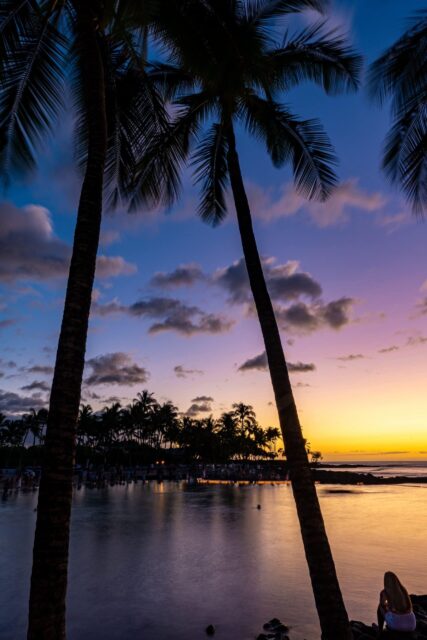 Hawaiian Sunset Wallpaper Serene Tropical Beach With Palms