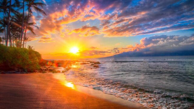 Hawaiian Sunset Wallpaper Vibrant Beach And Palm Trees