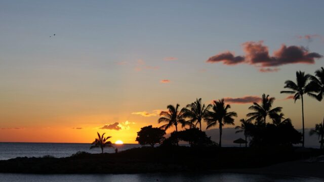 Hawaiian Sunset Wallpaper With Palm Trees And Ocean View