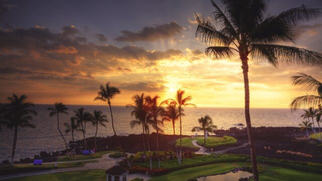 Hawaiian Sunset Wallpaper With Palms And Ocean View