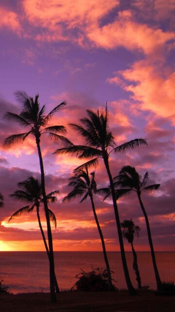 Hawaiian Sunset At The Beach