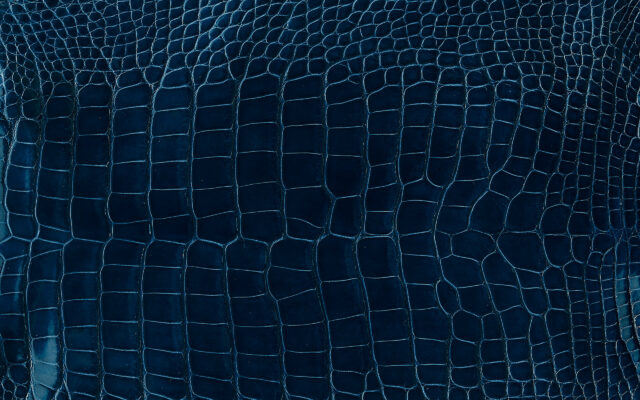 Hermes Crocodile Leather Pattern Wallpaper In Blue Hue