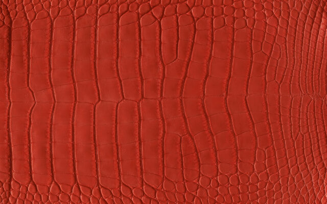 Hermes Wallpaper