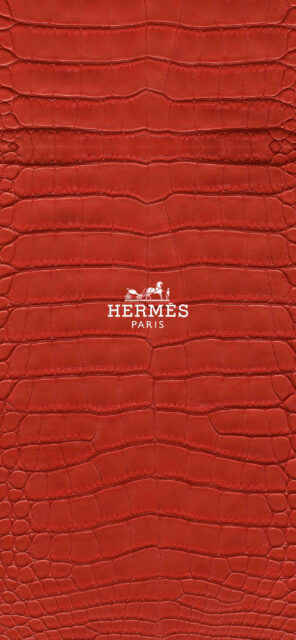 Hermes Wallpaper Luxury Red Leather Texture Design