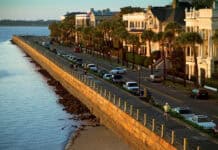 Historic Charleston Waterfront View with Jogger and Palm Trees South Carolina Wallpapers