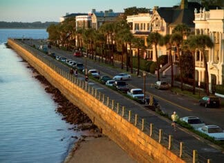 Historic Charleston Waterfront View with Jogger and Palm Trees South Carolina Wallpapers