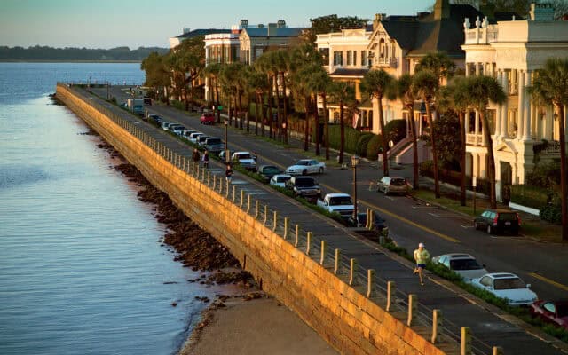 Historic Charleston Waterfront View with Jogger and Palm Trees South Carolina Wallpapers