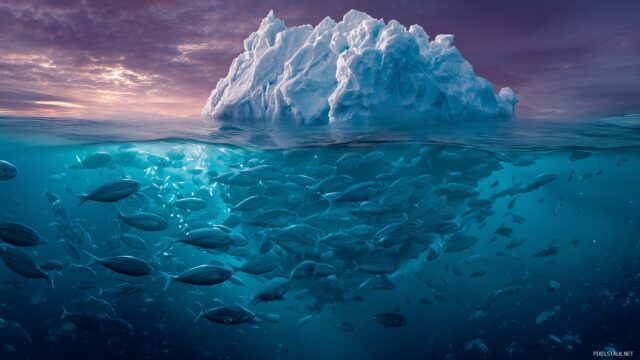 Iceberg Desktop Wallpaper Ultra HD, A Vibrant Underwater View Of An Iceberg With Fish Swimming Below, Creating A Unique Perspective For Your Desktop