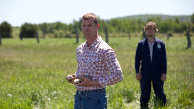 Letterkenny TV Series Wallpaper Featuring Characters In Rural Field Holding Rocks