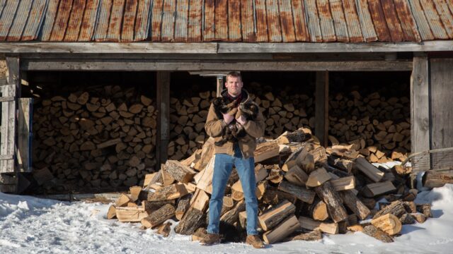 Letterkenny TV Series Wallpaper Man Holding Puppies In Front Of Woodpile In Snow