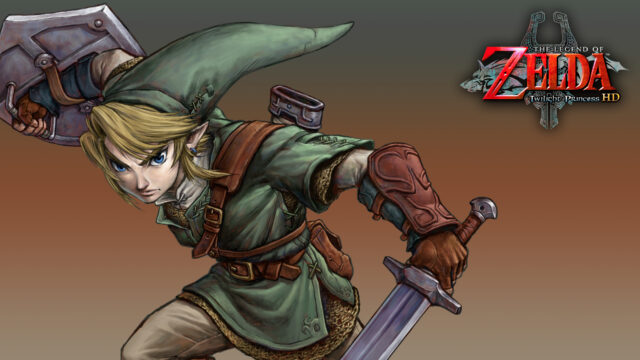 Link Ready For Battle Legend Of Zelda Twilight Princess HD Wallpaper