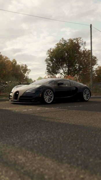 A black Bugatti Veyron is parked on a road surrounded by trees under a cloudy sky, HD Phone Wallpaper