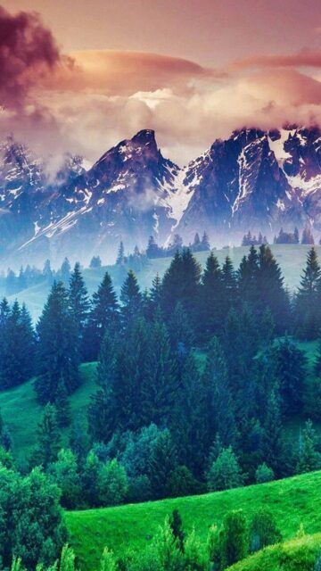 Majestic Snowcapped Mountains and Lush Green Forest Nature Artwork Wallpaper
