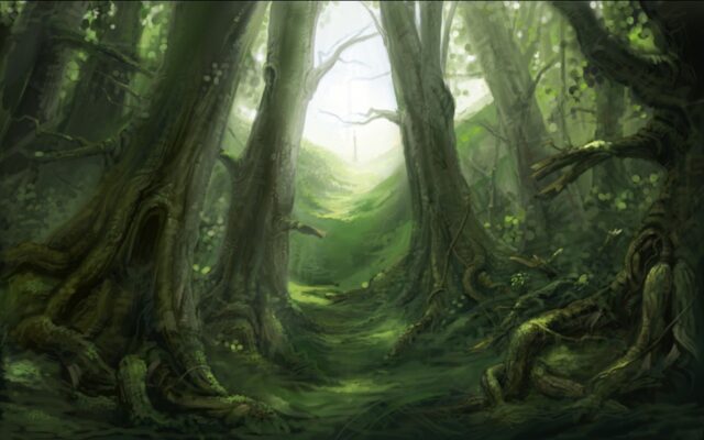 Mystical Fangorn Forest Wallpaper Fantasy Landscape