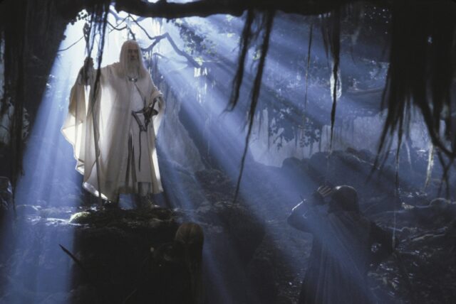 Mystical Light In Fangorn Forest Wallpaper Scene