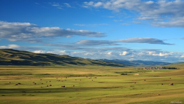 Nature full HD image scenery for screensaver, peaceful countryside fields stretching into the horizon, dotted with farms and grazing animals.