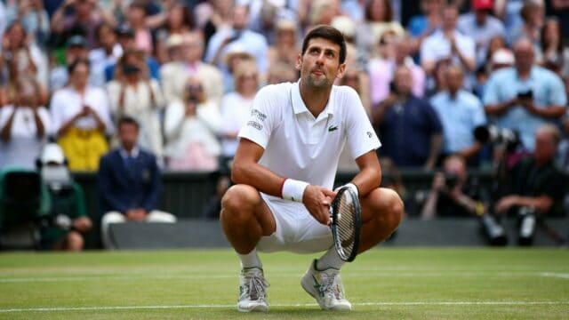 Novak Djokovic Focused On Wimbledon Court Wallpaper