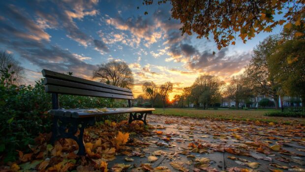 November desktop HD wallpaper, a quiet park bench surrounded by autumn leaves under a brilliant sky capturing the essence of fall in HD.