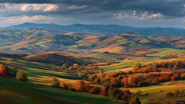 November desktop wallpaper, a panoramic view of rolling hills with a patchwork of autumn colors spreading across the landscape in HD.
