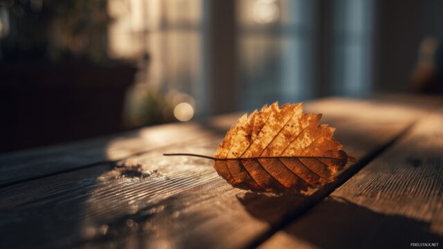 October Desktop Wallpaper HD, A Close Up Shot Of A Single Autumn Leaf On A Wooden Table Surrounded By Warm Light