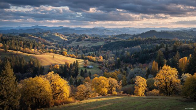 Oregon Wallpaper, A Colorful Autumn Landscape In The Oregon Countryside, With Golden Leaves And Rolling Hills Stretching Into The Horizon