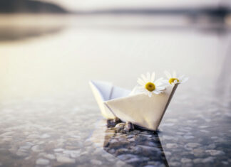 Paper Boat on Water Floral Serenity Wallpaper