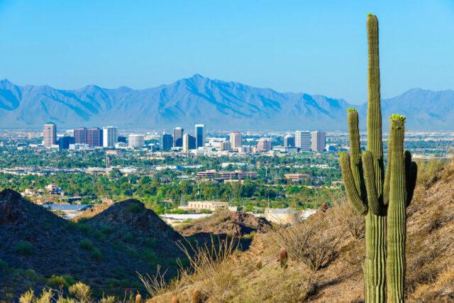 Phoenix Arizona Scenic Cityscape With Desert Cactus View Wallpaper