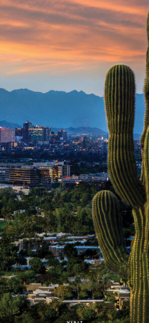 Phoenix Arizona Skyline At Sunset With Saguaro Cactus View