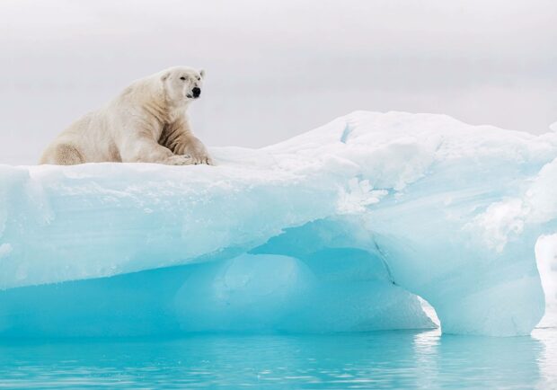 A polar bear is resting on a bright blue ice formation surrounded by Arctic waters, HD Desktop Wallpaper